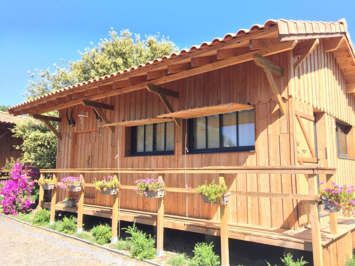 Gite De L'Ocean, 3 Etoiles - Les Cabanes Oceanes, Montalivet Vendays-Montalivet Exterior photo